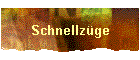 Schnellzge